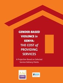 gbv-costing-study-2-cover